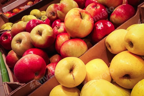 Preview: Harvest ripe apples. Selling juicy fruits at the farmers market. Organic eco-friendly food.