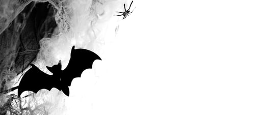 Preview: Halloween composition with bats and spiders on grunge background