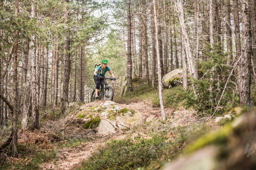 Preview: Woman mountain biking in forest, Bozen, South Tyrol, Italy