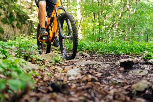 Preview: unrecognizable biker in mountain bike riding fast