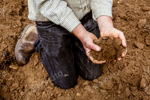 Preview: High angle close up of farmer kneeling on field, holding brown soil.