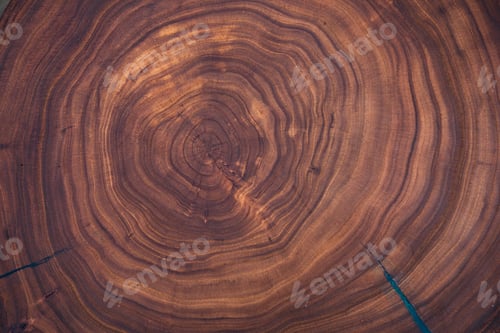 Preview: Texture of tree stump for background