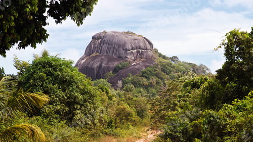 Preview: Big black rock in between green vegetation at midday and nobody around on the island Belitung