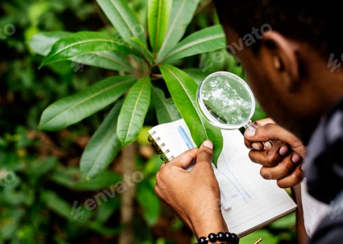 Preview: Biologist in a forest