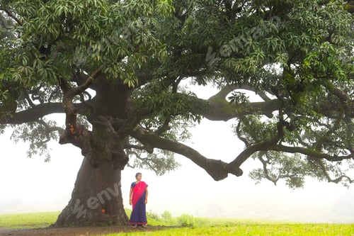 Preview: Happy Indian woman in fog and enjoying nature.