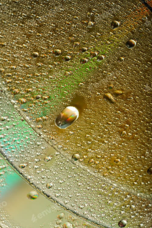 Preview: Colorful, Rainbow, Abstract Background. Water Drops. Condensate. Texture Of Glass. Parallel Lines