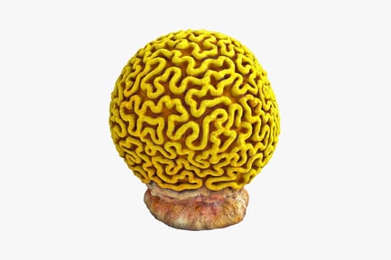 Preview: Layered grooved spherical structure on a pedestal