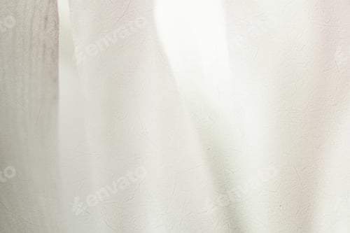 Preview: Sweet Color Lotus Petals In Soft Color And Blur Style On Mulberry Paper Texture