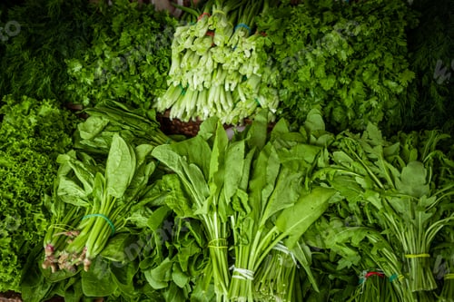 Preview: Fresh organic homegrown herbs and leaf vegetables background