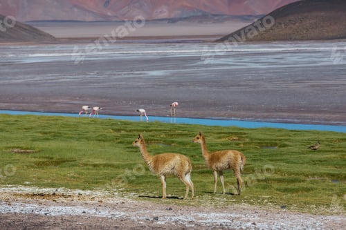 Preview: Vicuna