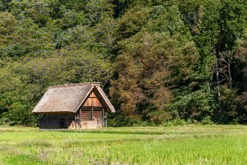 Preview: Traditional Japanese old wooden house in forest