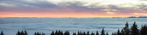 Preview: Canadian Nature Panorama View of Evergreen Trees on a mountain above the clouds