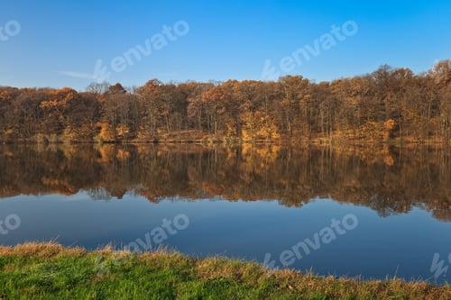 Preview: autumn forest on a lake