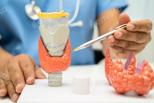 Preview: Hyperthyroidism, Overactive Thyroid, Thyroid Lymphoma, Asian doctor with thyroid gland human