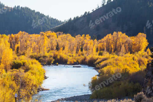 Preview: Autumn river