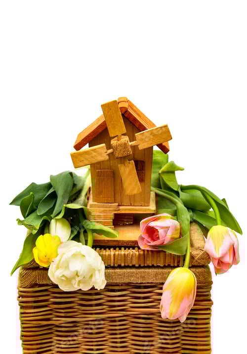 Preview: wooden decorative mill with tulips on a white background. Village farm buildings.