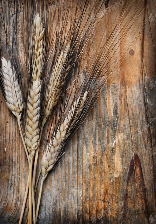 Preview: Wheat