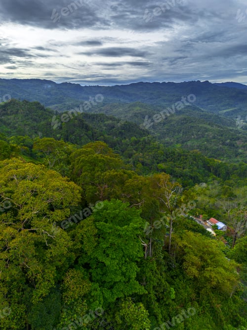 Preview: the beauty of Indonesia with mangrove forests and beaches at sunset