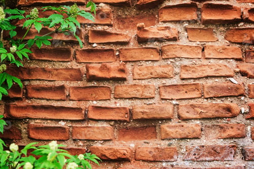 Preview: Brick old red wall texture background. Green plants framing old brick, wallncient bricks fence, retr