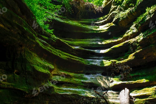 Preview: Breathtaking view of green mossy French Canyon under bright sunlight in Starved Rock State Park