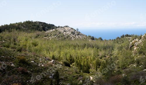 Preview: Lush green forest covering mountain slopes overlooking tranquil blue sea