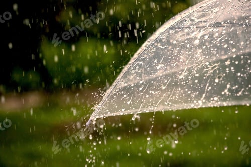 Preview: rain, raindrop, rainforest, raining