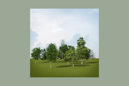 Preview: Aligned trees and water feature in a grassy field