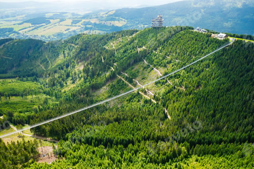 Preview: Sky Bridge 721 is the longest suspension bridge between two hills in the forest