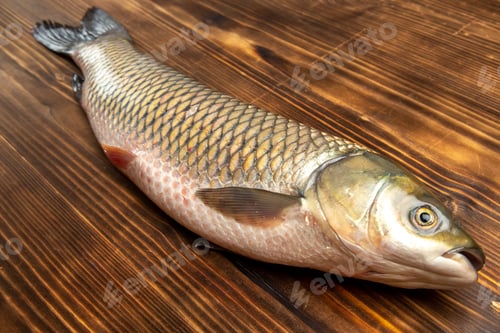 Preview: front view fresh fish raw product on wooden table fish sea meat ocean food