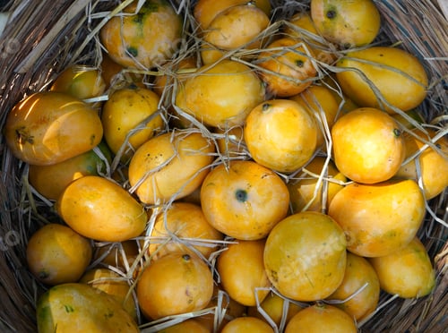 Preview: famous Indian Alphonso mangoes in the market.