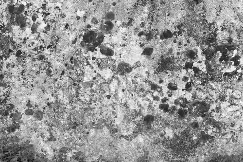 Preview: The Abstract Textured Background Of An Old Wall Concrete Or Cement With A Mold