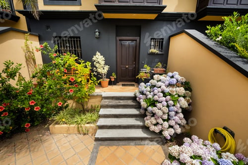 Preview: the courtyard in front of the front door . spain, canary islands, tenerife