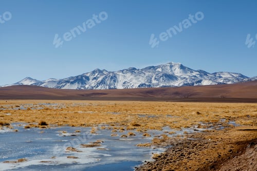 Preview: Altiplano, High Plateau, San Pedro de Atacama, Antofagasta, Chile