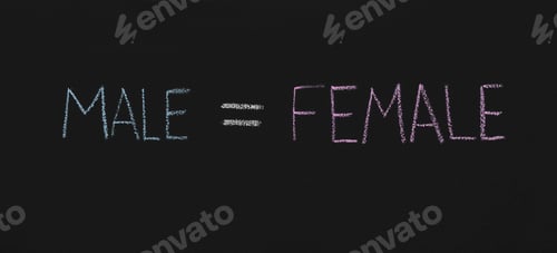 Preview: Male is equal to Female, chalkboard sketch