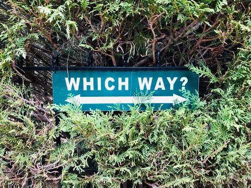 Preview: Green sign on hedge saying “which way” with arrows pointing in both directions