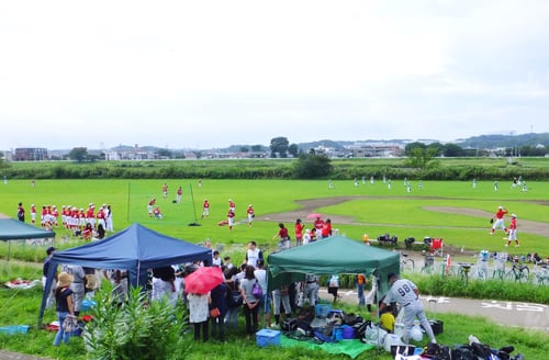 Preview: Kids baseball tournament with family audience