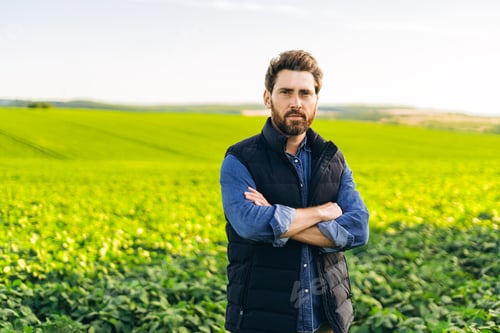 Preview: Confident farmer standing with crossed arms in cultivated soybean field during sunset