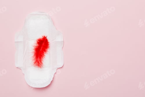 Preview: Women hygiene products or Sanitary pad with red feather on colored background.