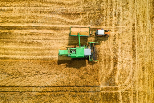 Preview: Harvester dropping collected grain onto a tractor trailer, aerial view