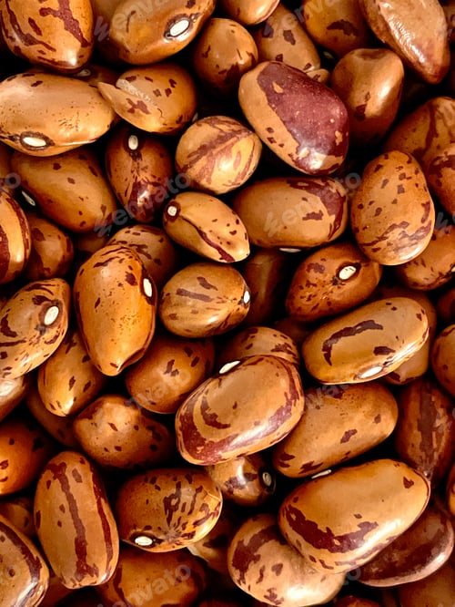 Preview: Pile of Brown Beans with Dark Stripes