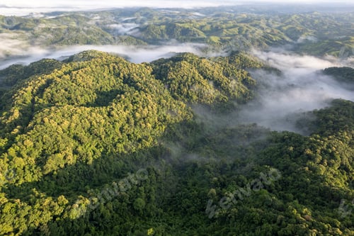 Preview: Landscape of Morning Mist with Mountain Layer. mountain ridge and clouds in rural jungle bush forest