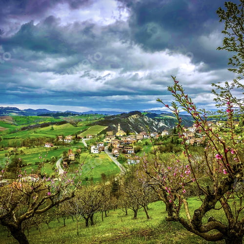 Preview: Costa Vescovato village in the hills of Piemonte with an orchard in foregroung, Italy