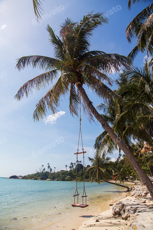 Preview: Swing in Ko Pha Ngan in Thailand