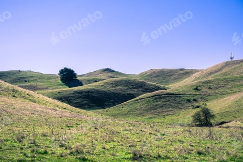 Preview: Rolling green hills and blue sky