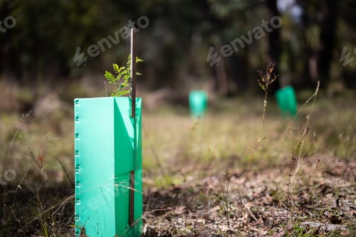 Preview: New plant