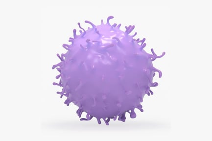 Estrutura detalhada das células-tronco