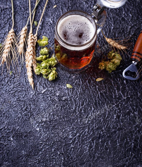 Preview: Mug of beer, hops and malt
