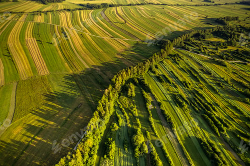 Preview: Countryside farm fields in rural Poland, aerial drone view