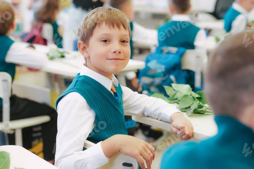 Visualização: lindo garotinho sentado na aula na escola. primeiro de setembro. dia do conhecimento