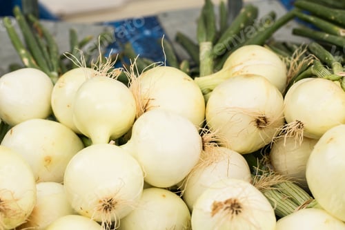 Preview: Pile Of Fresh Onions At The Farmers Market In Knoxville Tennessee